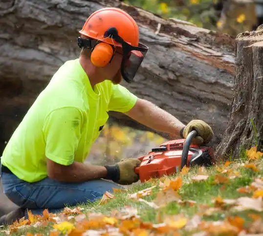 tree services St. Martins